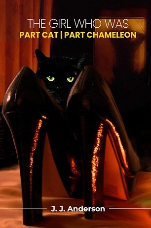 American Book Writer American Book Writer