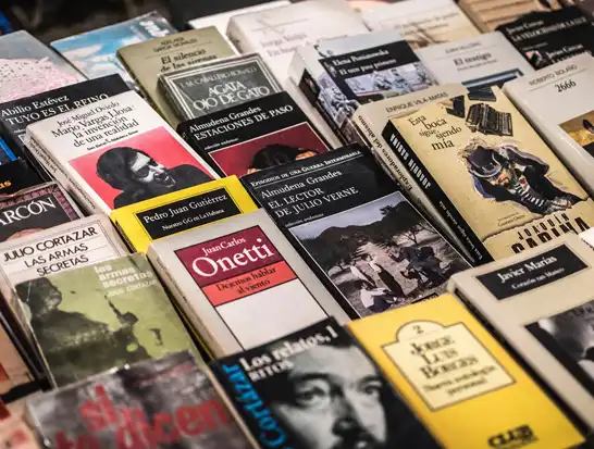 Book Cover Design Service Book Cover Design Service