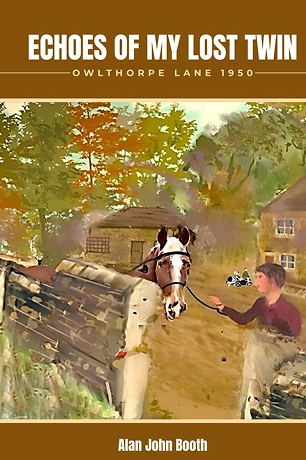 Echoes of My Lost Twin Echoes of My Lost Twin