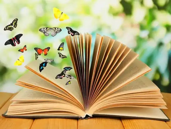 Children Book Writing