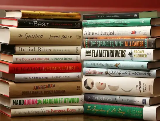 Fiction Book Writing